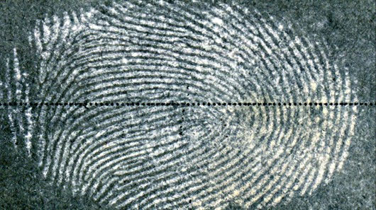 Bằng cách sử dụng chất béo và kỹ thuật tương phản đen trắng, phương pháp mới giúp hiển thị dấu vân tay rõ ràng hơn ngay cả trong môi trường giấy ướt.