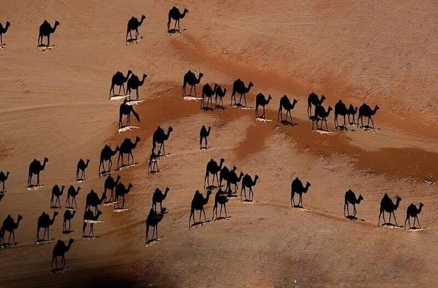 Ảnh của nhiếp ảnh gia Mỹ George Steinmetz.