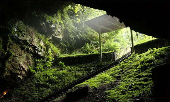 Những bậc thang dẫn tới hang Dunmore.