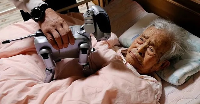 Giới khoa học Nhật Bản đã tìm ra “chìa khóa” để đảo ngược quá trình lão hóa