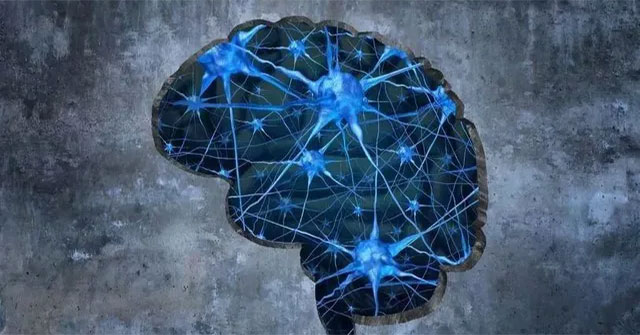 Ký ức được hình thành như thế nào?