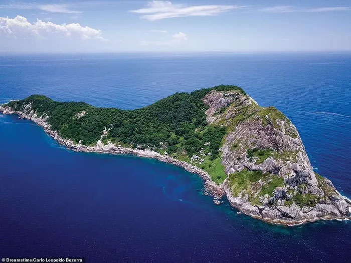Ilha Da Queimada Grande, Brazil