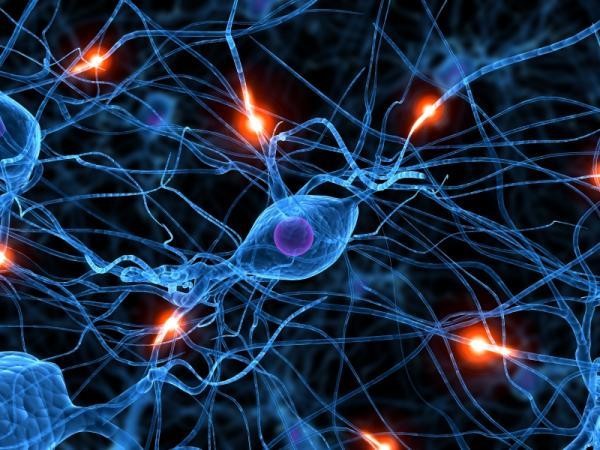 10 sự thật gây sốc về bộ não con người