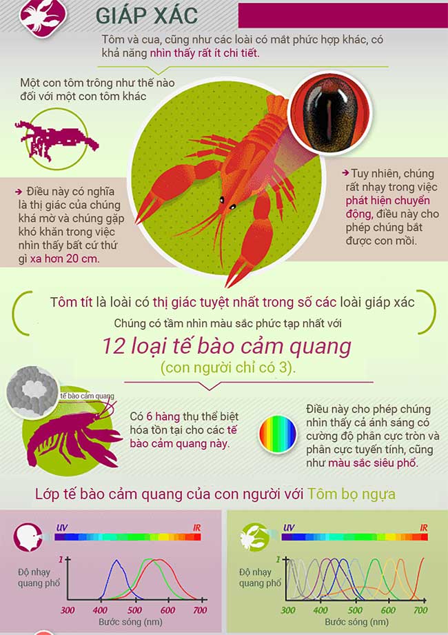 canh-dong-vat-nhin-the-gioi-5