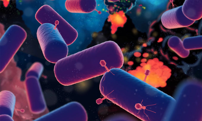 mo-phong-luca-bi-tan-cong Mô phỏng LUCA bị virus tấn công cách đây 4,2 tỷ năm.