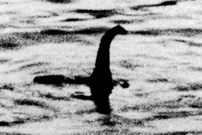 quai-vat-ho-loch-ness-2 Bức ảnh được cho là của quái vật hồ Loch Ness.